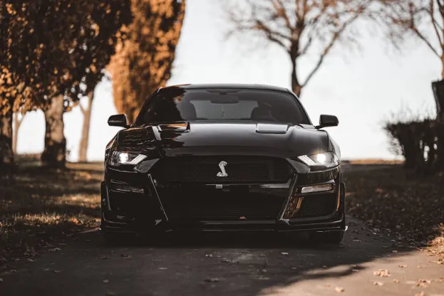 Ripper Casino Android/iOS aplikacija